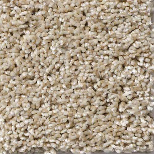5E038-00100 Shaw All About It Biscotti Carpet flooring | Broadway Carpets, Inc