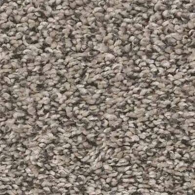 5E038-00510 Shaw All About It PencilSketch Carpet flooring | Broadway Carpets, Inc