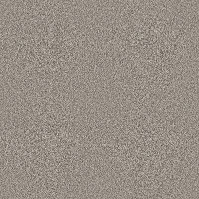 5E622-00177 Shaw Tweed Comfort II Stand Out Carpet | Broadway Carpets, Inc