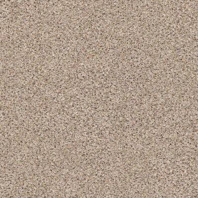 E9565-00176 Shaw Elemental Mix II Acreage Carpet | Broadway Carpets, Inc