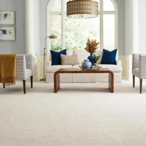 Champagne Color Shaw Floors carpet in living room | Broadway Carpet & Flooring